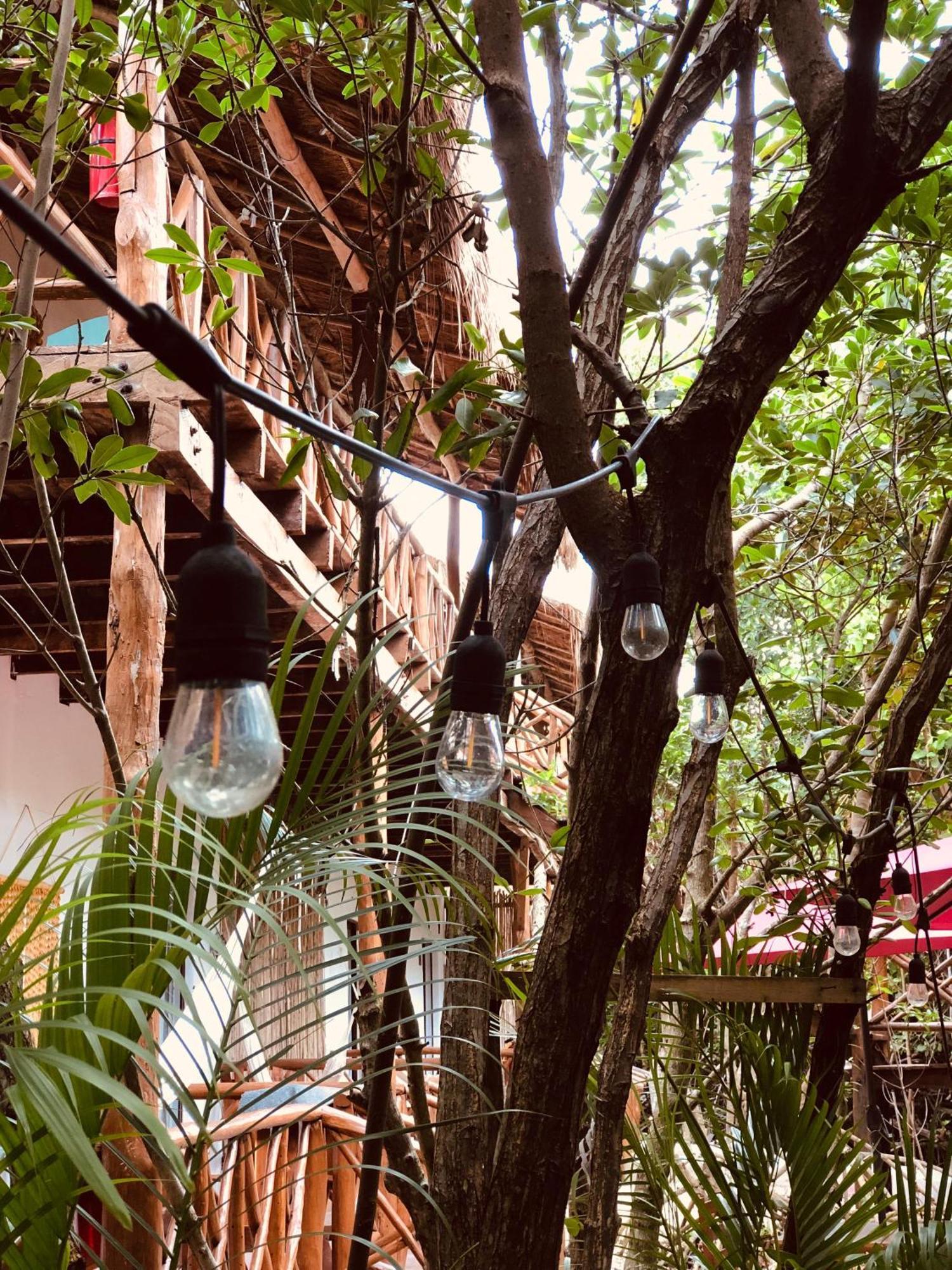 Cabanas Tulum - Aldea Mangle & Cenote Exterior photo