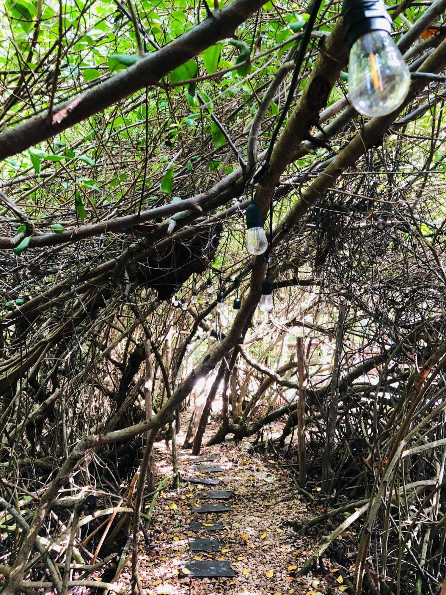 Cabanas Tulum - Aldea Mangle & Cenote Exterior photo